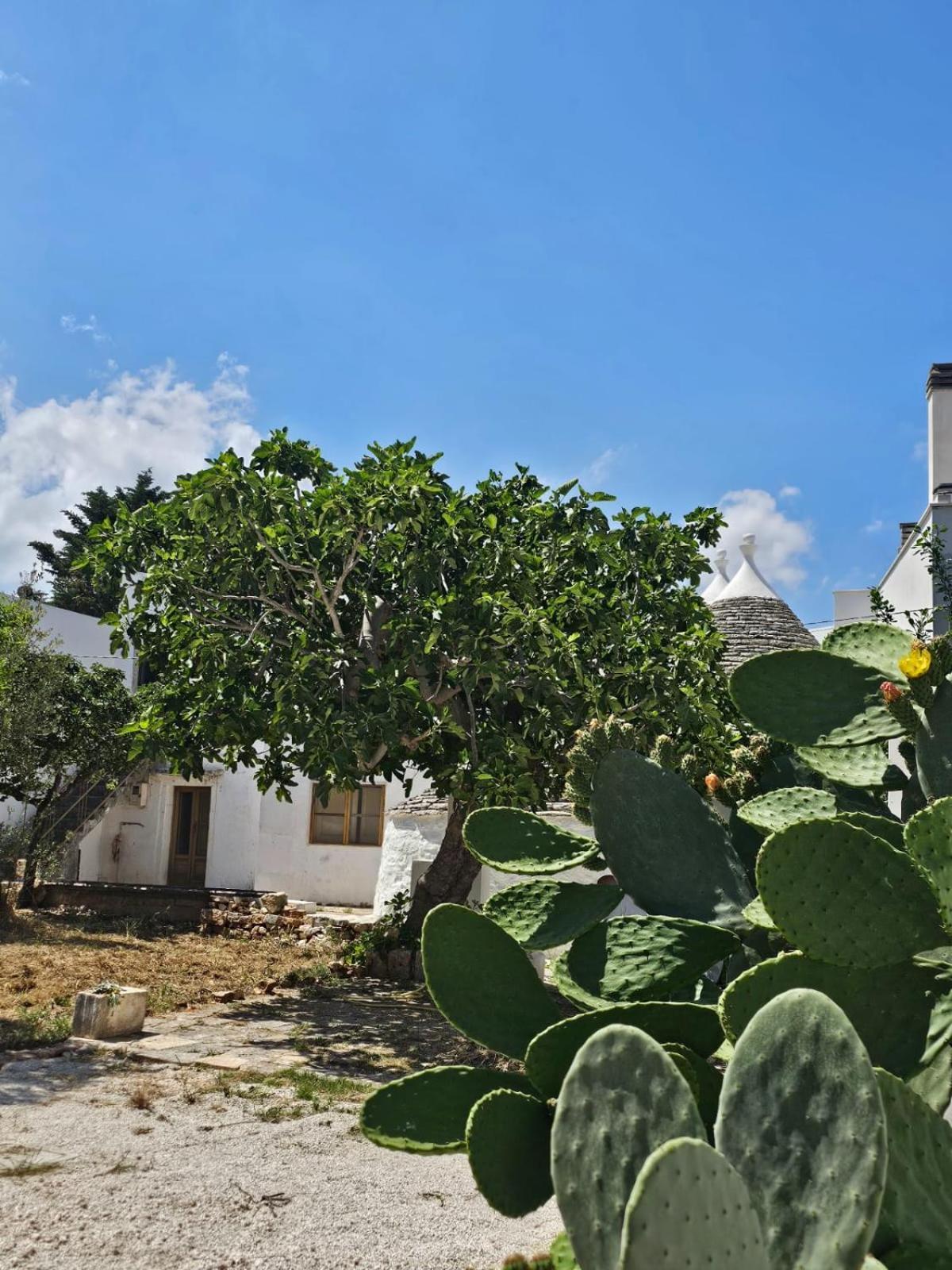 River Trulli Oasi Di Pace In Sito Unesco Alberobello Exterior foto